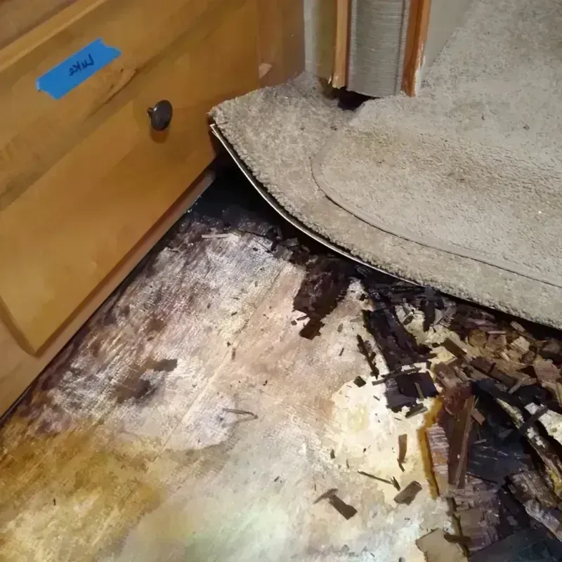 Best Wood Floor Water Damage Service in Freeport, FL